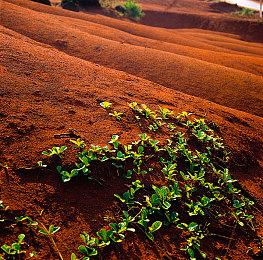 《大家一起观颜察色。4》宣布11月19日发售 支持中文
